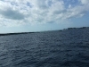 DSCF2364