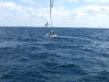 DSCF2367