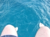 DSCF2369