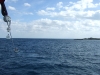 DSCF2371