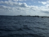 DSCF2373