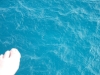 DSCF2380