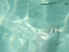 DSCF2454