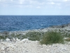 DSCF2459