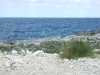 DSCF2460