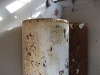 DSCF2467