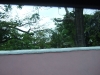 DSCF2483