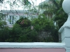 DSCF2484