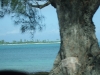 DSCF2495