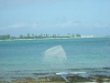 DSCF2496