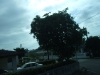 DSCF2504