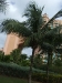 DSCF2524