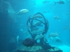 DSCF2545