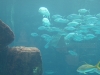 DSCF2559
