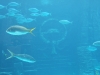 DSCF2560