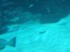 DSCF2562