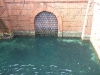 DSCF2567