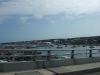 DSCF2571