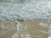 DSCF2590