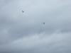 DSCF2610