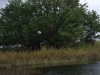 DSCF2616