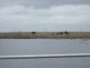 DSCF2624