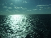 DSCF2660