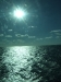 DSCF2661