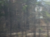 DSCF2721