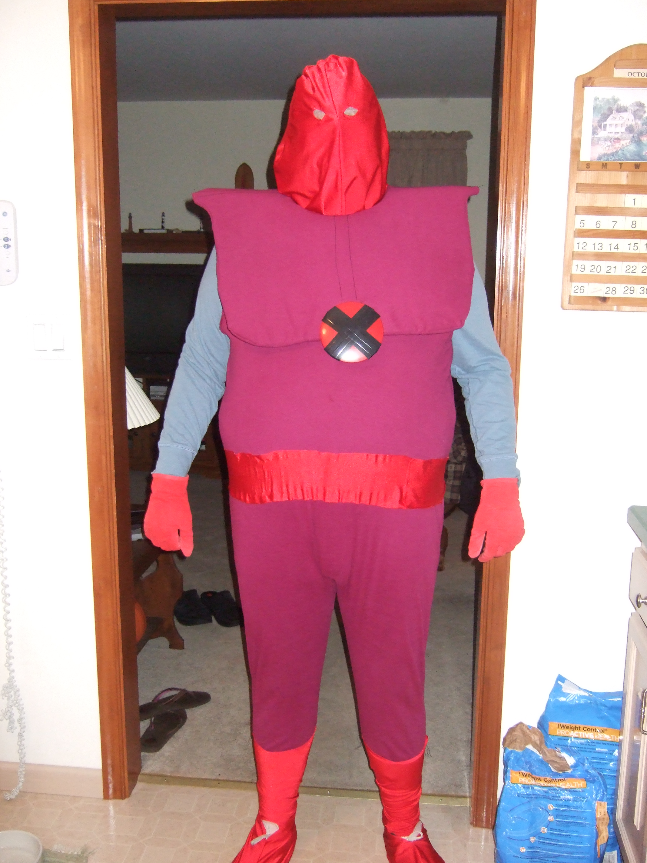 X the Eliminator Costume, Overall X the Eliminator Costume, Overall