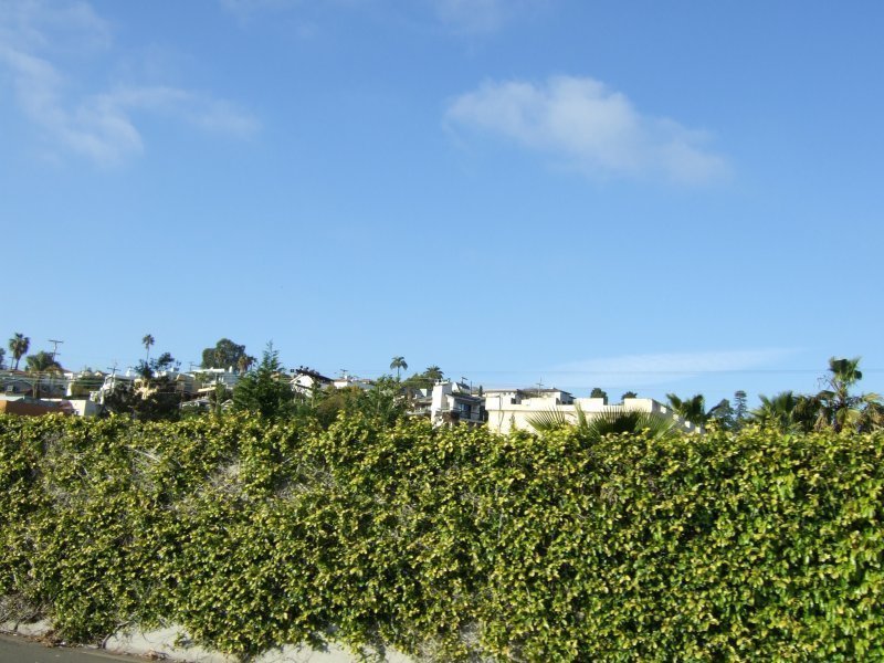 DSCF0963.JPG