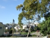DSCF0961.JPG